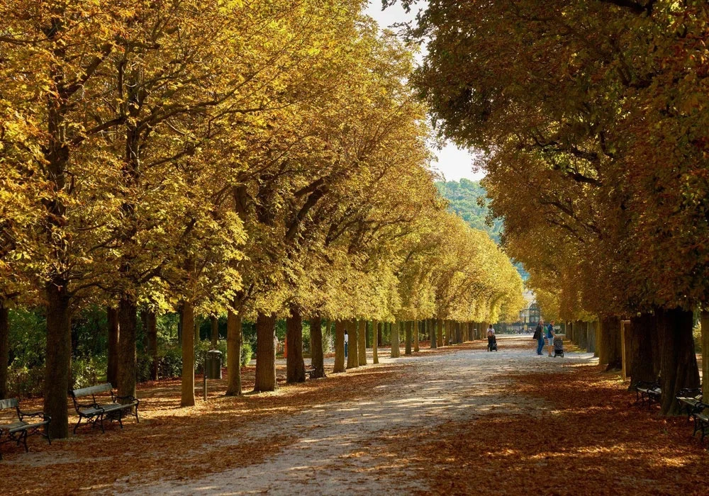 Best for history buffs: Austria and Poland