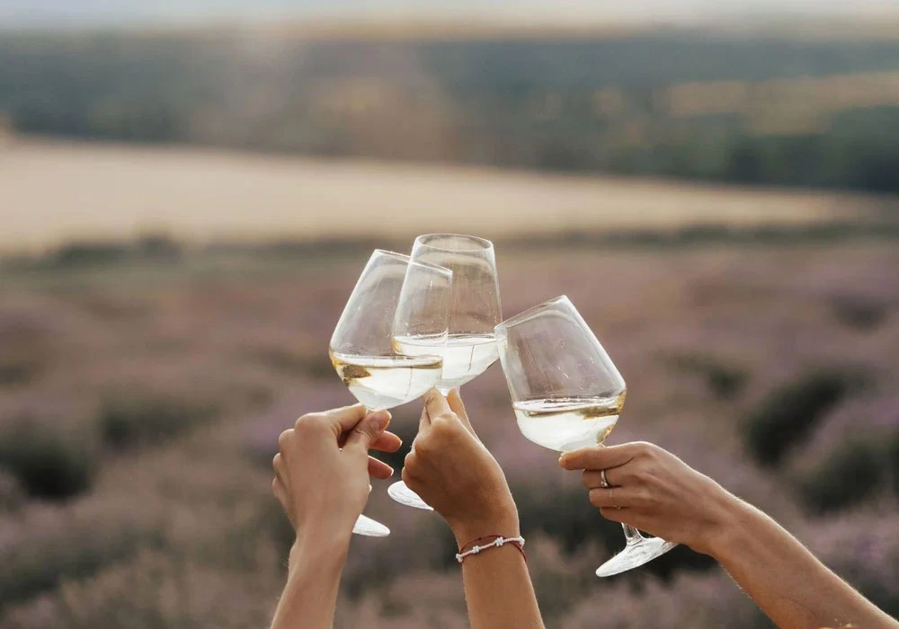 Best for wine: France